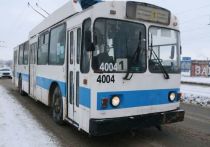 Два новых троллейбуса привезли в Рубцовск
