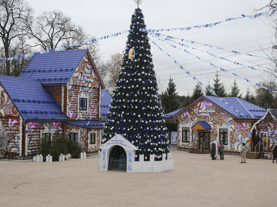 Салюты и шумные новогодние гуляния отменили в Московской области
