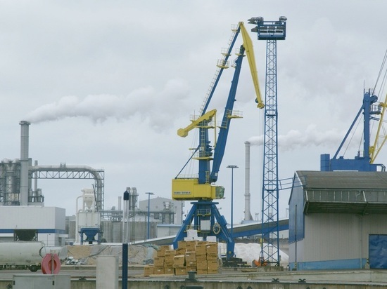 Начальнику плавдока, затонувшего в Мурманске, вменяется ущерб на 291 млн