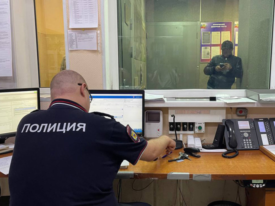 «Документы предъявите»: как работает служба 02 и отдел полиции в Петербурге