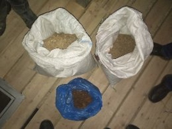 Житель Улан-Удэ хранил в подполье дома 3, 5 кило «травки»