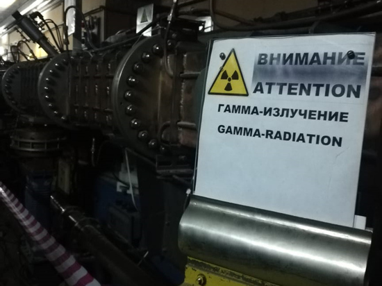 Исцеляющий импульс: российские ядерщики рассказали, что убивает рак за микросекунды