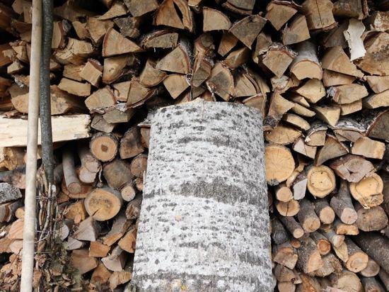 Украина запретила экспорт дров из-за ситуации с энергоснабжением