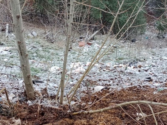 В Воронеже на ул. 9 января обнаружили свалку отходов животноводства