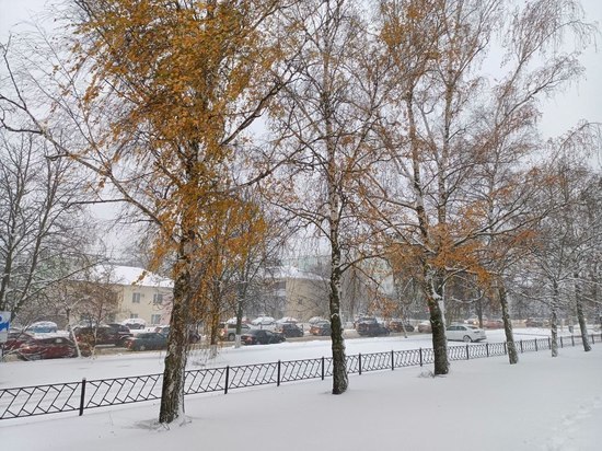 Выходные в Белгородской области будут ветреными и снежными