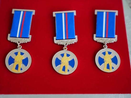 Три школьника из Подмосковья получили медали за мужество