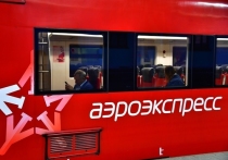 Все поезда в аэропорт Шереметьево 26 ноября отменили