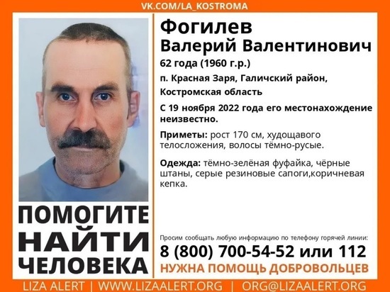 Костромские волонтеры разыскивают пропавшего недел назад галичанина