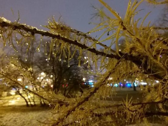 Почти −20 градусов было в Ленобласти в ночь на 26 ноября