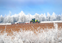 В Калининградской области провели озимый сев на площади 135,9 тысячи гектара. Это на 2,4 тысячи гектара больше, чем годом ранее. Об этом сообщает пресс-служба правительства области.