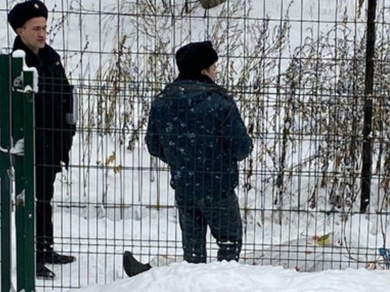 Тело мужчины нашли во дворе школы №69 в Ижевске