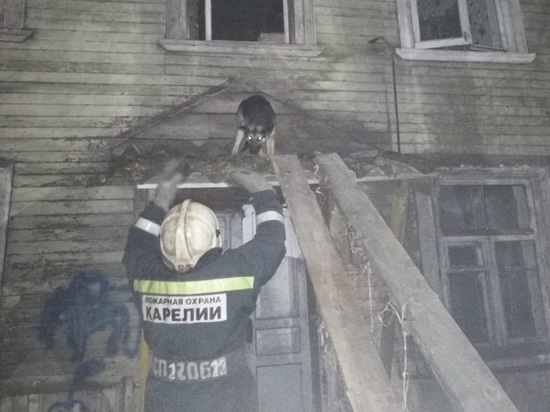 В Карелии спасатели сняли с крыши дома собаку