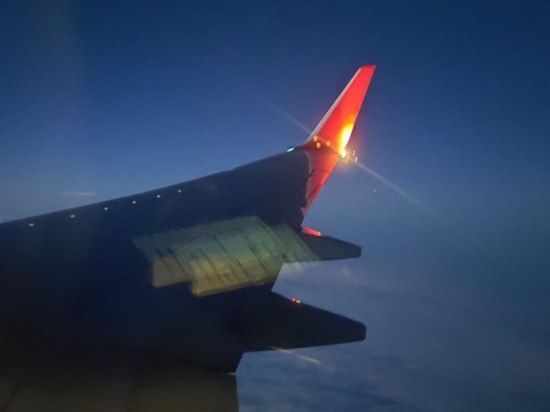Самолет сел в Петербурге после экстренной посадки в Новосибирске