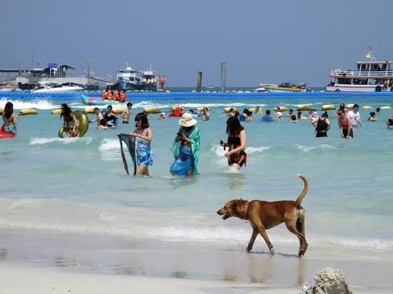Спустя два года возобновились полеты из Екатеринбурга в Таиланд