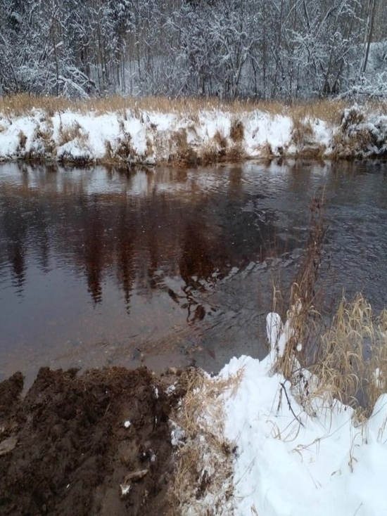 В Тверской области из-за каменных плотин пересохла река