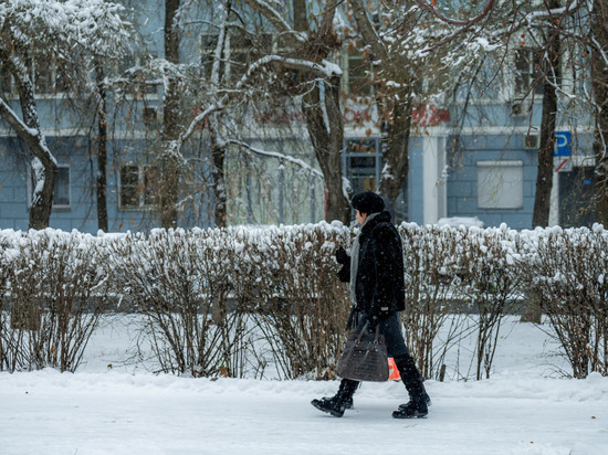 Синоптики озвучили прогноз погоды в Челябинской области на 28 ноября