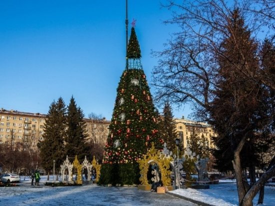 Главную елку Новосибирска установили на площади Ленина