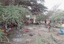 В Сомали при теракте в пригороде городе Могадишо погибли двенадцать сотрудников спецподразделения МВД страны, еще двадцать получили ранения