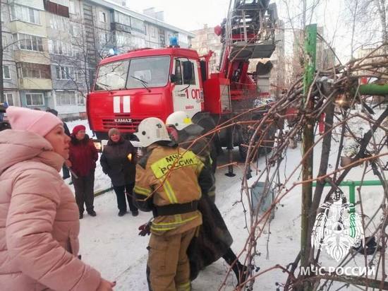 В Бийске на пожаре спасли 12 человек и ребенка