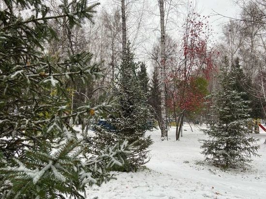 В Омской области продлили штормовое предупреждение до конца ноября