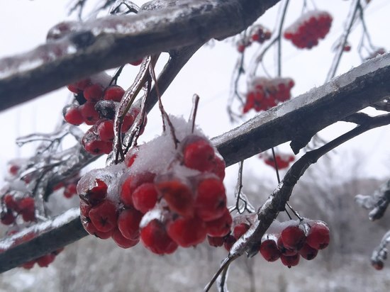 Морозы до -18 ожидаются в Нижегородской области в конце ноября