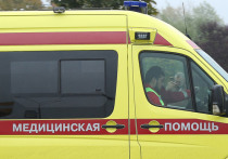 В Москве ученица седьмого класса скончалась вскоре после того, как получила травму во время катания на горке