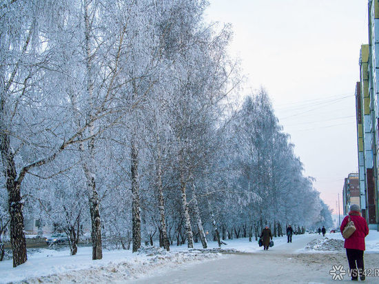 Небольшое потепление и отсутствие осадков ожидаются в ближайшие дни в Кузбассе