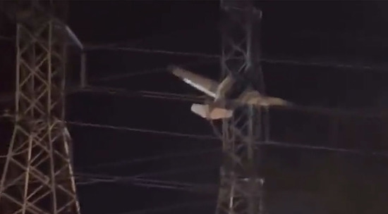 Самолет врезался в линии ЛЭП и запутался в проводах: видео 