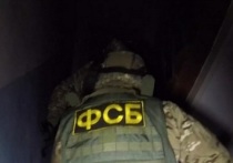 В ФСБ России сообщили, что в Мелитополе были задержаны трое украинских граждан, готовивших взрыв на одном из городских рынков