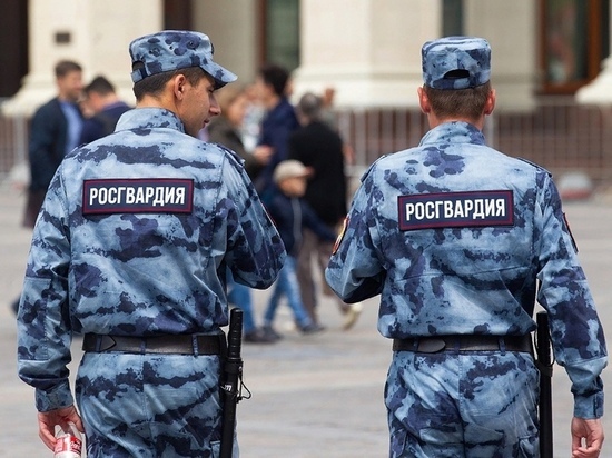 14 нарушений в обороте оружия выявили псковские росгвардейцы