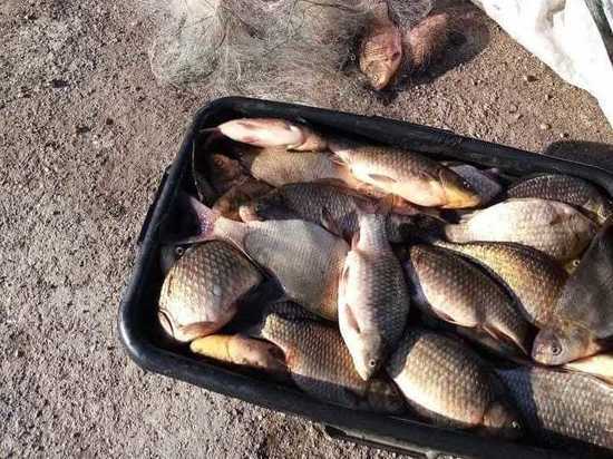 Два рыбака из Дубны незаконно выловили 168 особей рыб