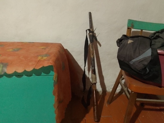 Житель Тувы в доме незаконно хранил два оружия  и боеприпасы