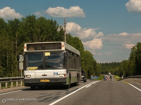 Пассажиров предупредили об отмене автобусного рейса из столицы Карелии