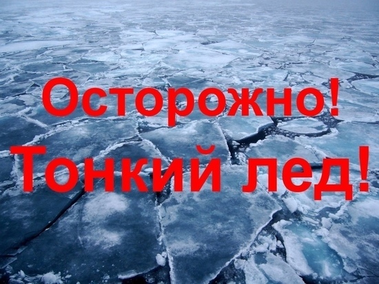 В Ярославле начались рейды на водоемах