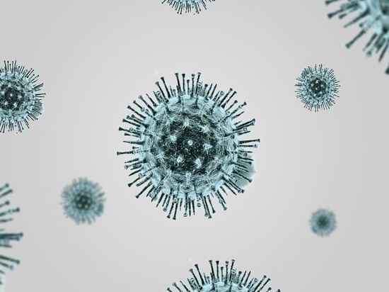 Заболеваемость коронавирусом в Карелии снижается