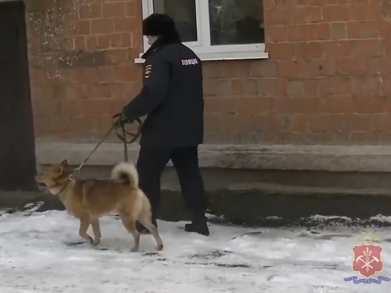 Полицейский усмирил и забрал домой агрессивную собаку с тяжелой судьбой