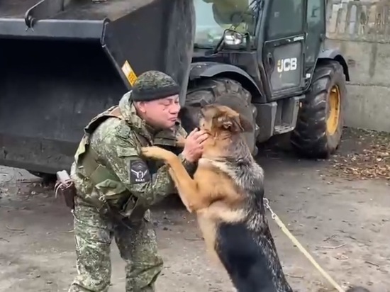 Десантники с Ямала привезли собаку и гуманитарную помощь в зону СВО