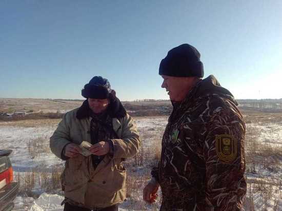 В Пензенской области охотники незаконно убили косулю