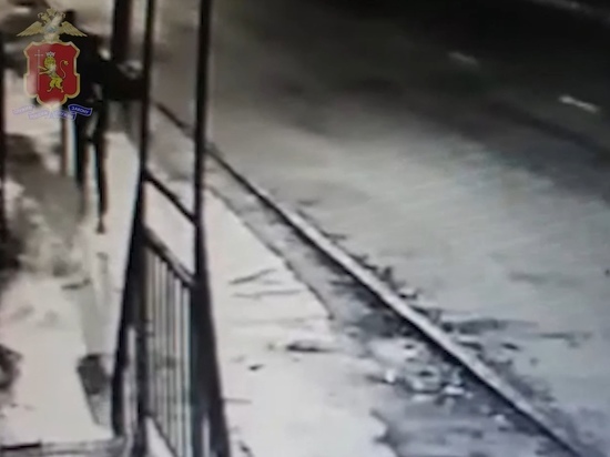 Грабитель вырвал дорогой смартфон прямо из рук жительница Владимира
