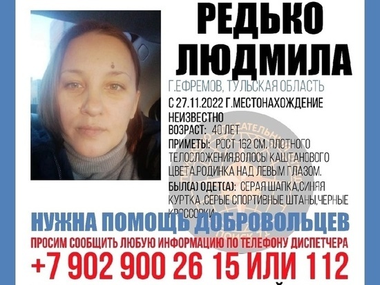 В Ефремове 27 ноября пропала 40-летняя женщина