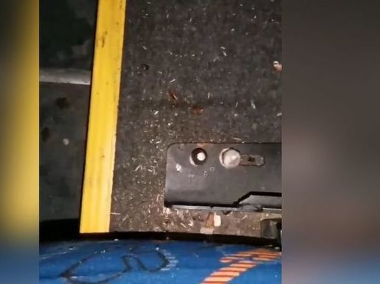 Тараканы в автобусе шокировали жителей Раменского