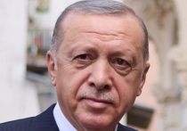 Президент Турции Реджеп Эрдоган выступил с заявлением, что Анкара должна "использовать все возможности меняющейся глобальной политической и экономической архитектуры" и оказаться в центре нового миропорядка