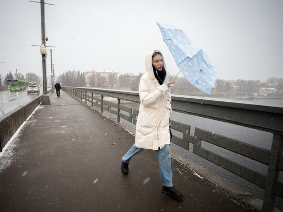 Небольшой снег и восточный ветер ожидается в Пскове 30 ноября