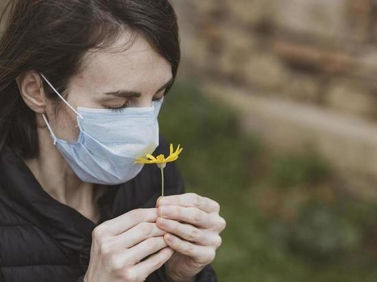 Специалисты рассказали как сохранить здоровье в период гриппа и ОРВИ
