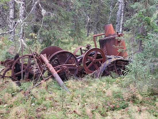 На севере Пермского края обнаружены остатки старинного локомобиля