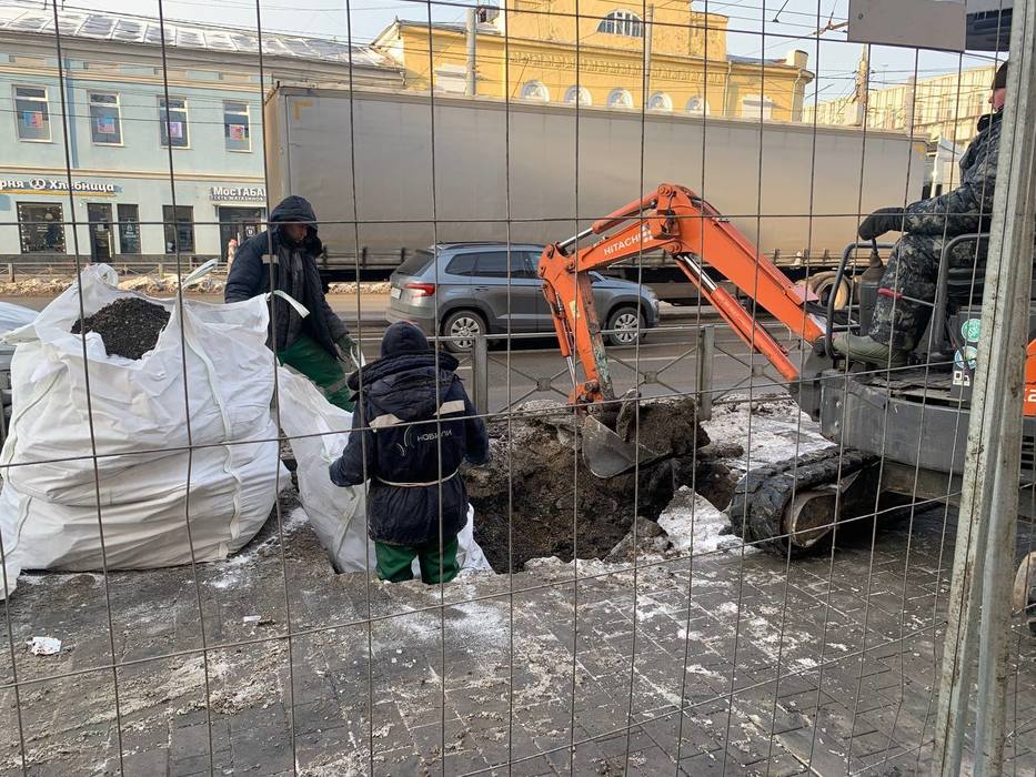 Вдоль проспекта Ленина в Туле началась подготовка к высадке деревьев: первые кадры