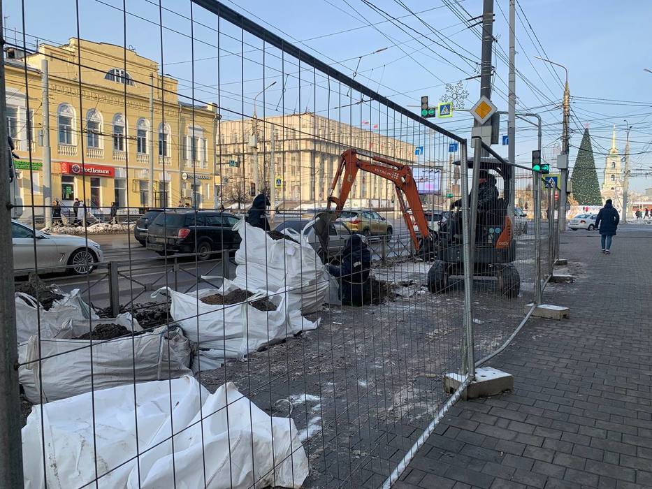 Вдоль проспекта Ленина в Туле началась подготовка к высадке деревьев: первые кадры
