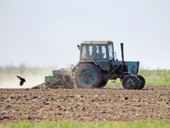 Во Владимирском регионе «активировали» свыше 8 тысяч га неиспользованных земель
