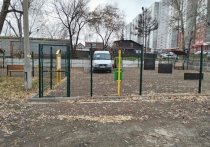 В Октябрьском районе Красноярска администрация решила оригинально наказать любителя парковаться в неположенном месте