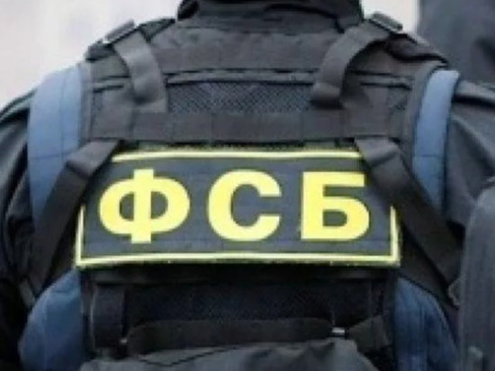 РИА Новости: В ЛНР задержан пособник СБУ, передававший данные о ВС РФ
